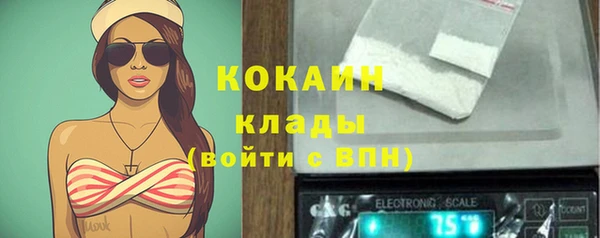 молекула духа Галич
