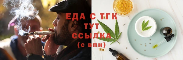 кокс Гатчина