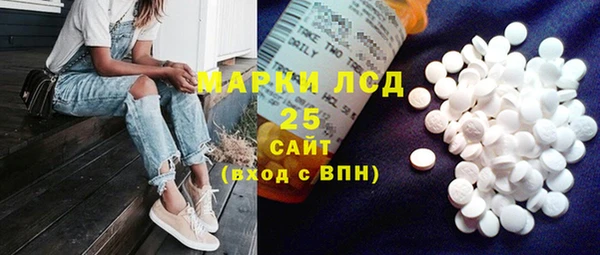 индика Няндома