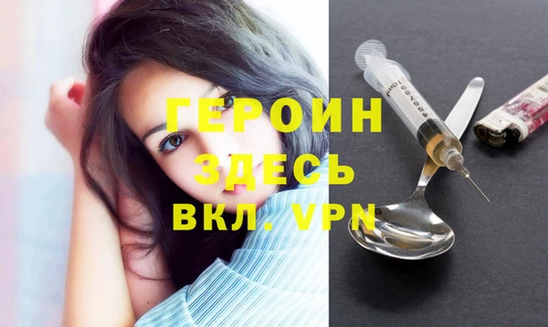 кокс Гатчина