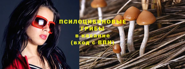 apvp Нягань